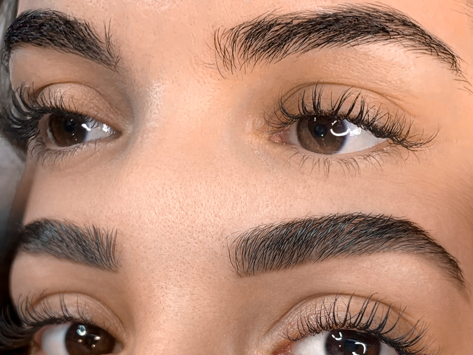 sourcil1